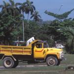 camionjaune