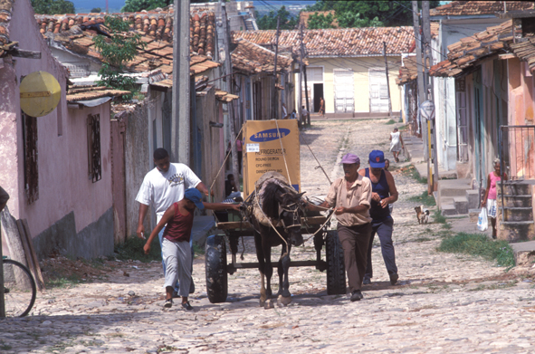 trinidadfrigo