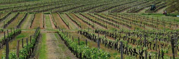 Perigord-046