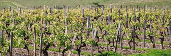 Perigord-081