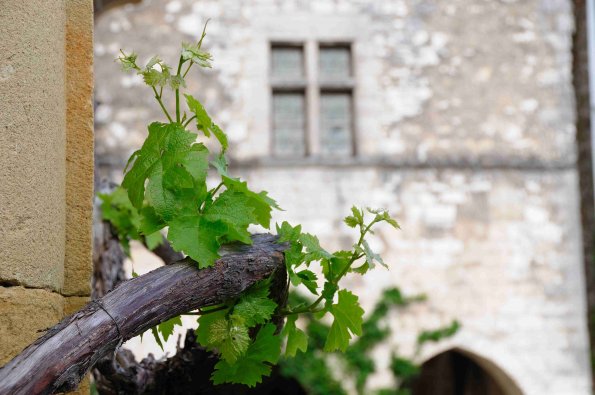 Perigord-021