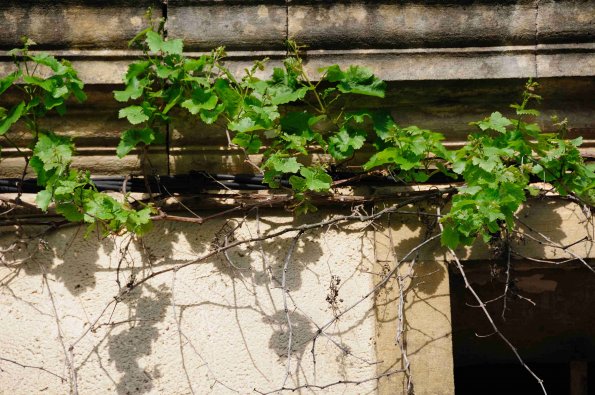 Perigord-027