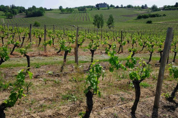 Perigord-044