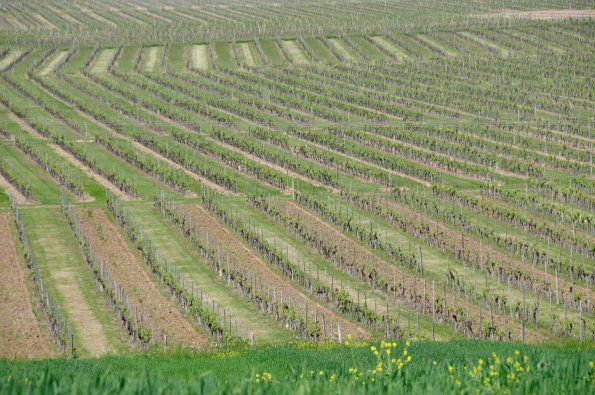 Perigord-052