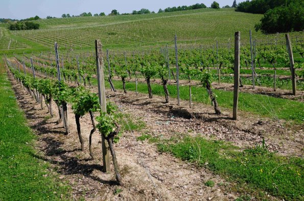 Perigord-055
