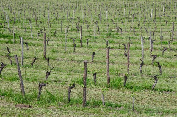 Perigord-061