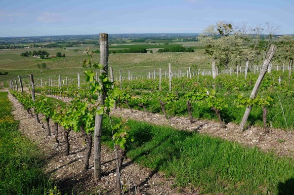Perigord-070