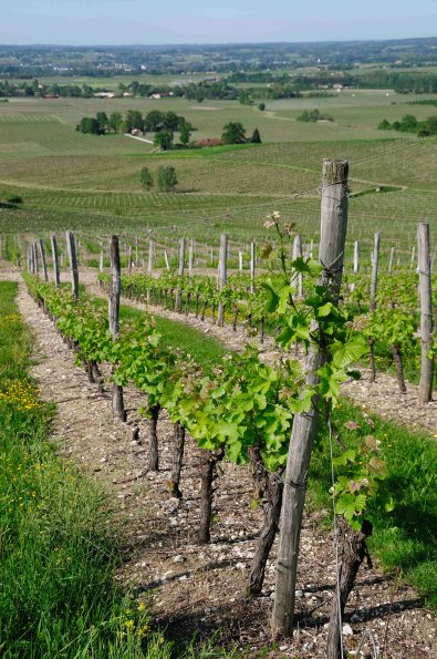 Perigord-071