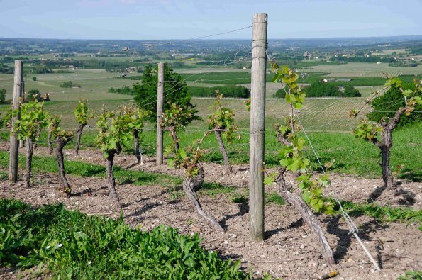 Perigord-078