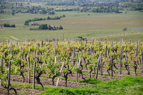 Perigord-081