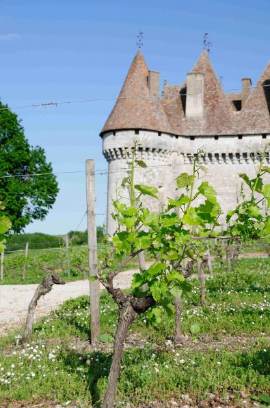 Perigord-085
