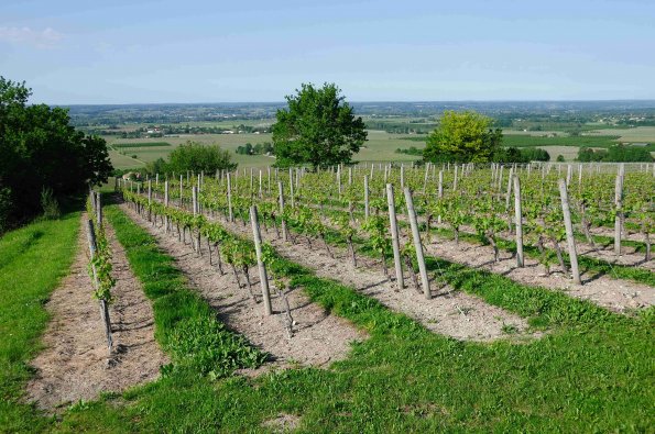 Perigord-087