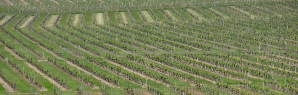 Perigord-052